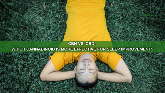 CBN vs. CBD: Which Cannabinoid Is More Effective for Sleep Improvement?